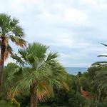 Les Amandiers Saint-Raphaël