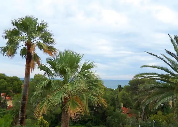 Les Amandiers Saint-Raphael (Var)